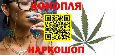 прущие грибы Краснознаменск