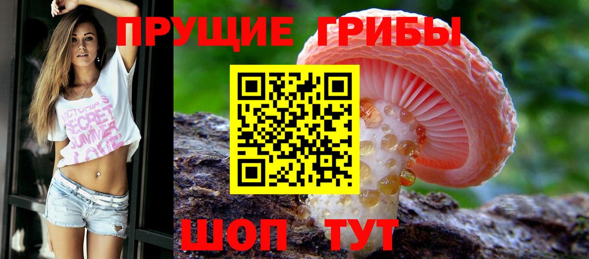 Псилоцибиновые грибы ЛСД  Вход с VPN  Клинцы 